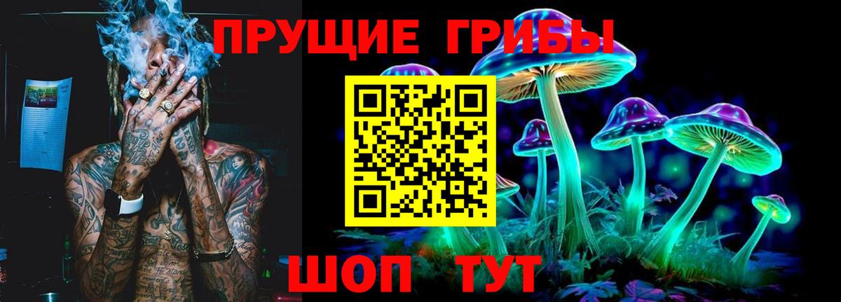 Галлюциногенные грибы Psilocybine cubensis  Вход с VPN  Псилоцибиновые грибы MAGIC MUSHROOMS  Омск 